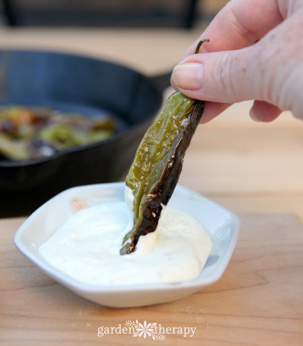 Shishito peppers with a yogurt cilantro dipping sauce