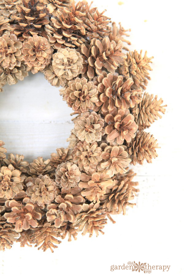 close up of a pinecone only wreath