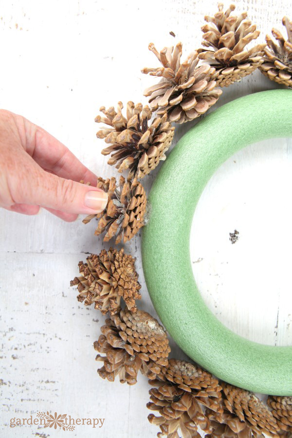 bleached pinecone wreath