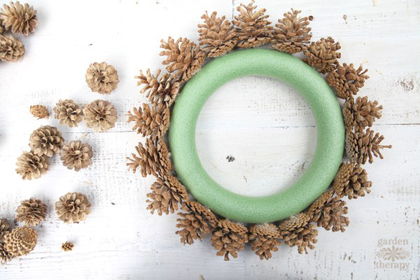 making a bleached pinecone wreath