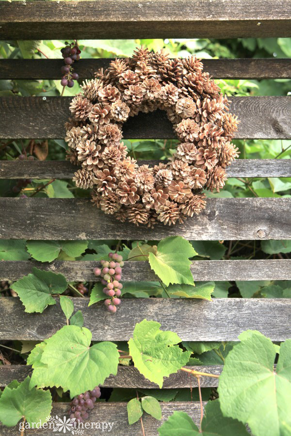 Bleached Pinecone Wreath on Garden Fence