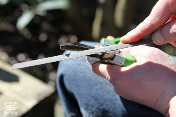 How to Care For Garden Pruners - Garden Therapy