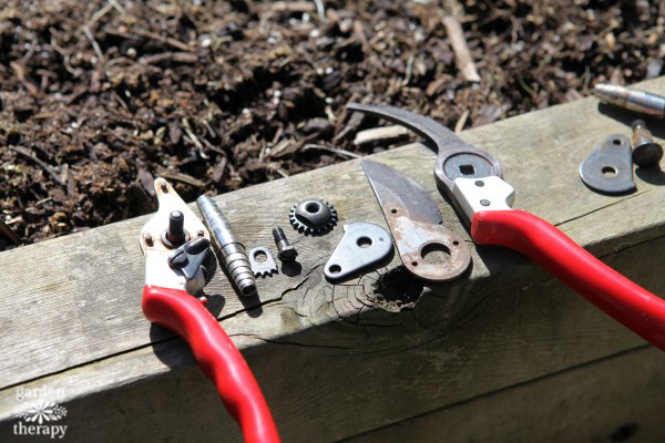 Take apart pruners for a deep clean.
