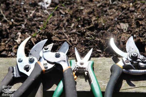 How to Clean and Sharpen Hand Pruners