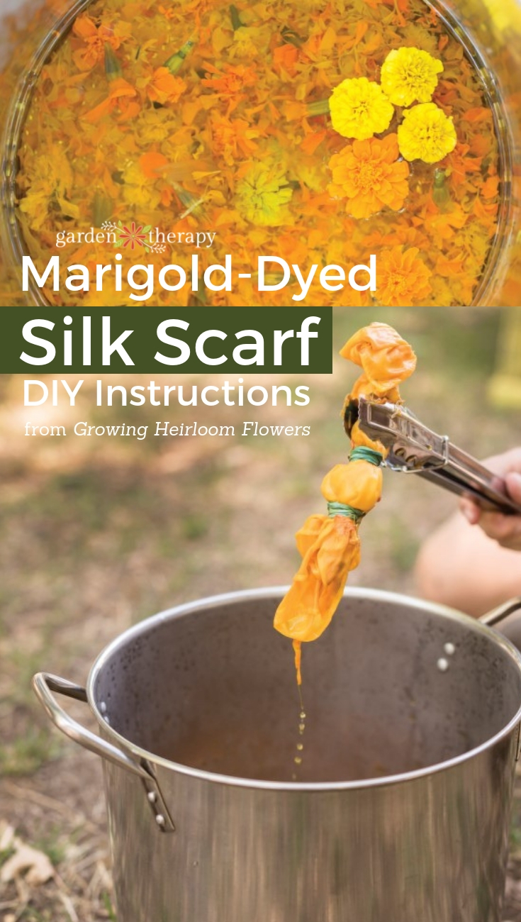 Natural Flower Dye for Fabric How to Create a MarigoldDyed Scarf