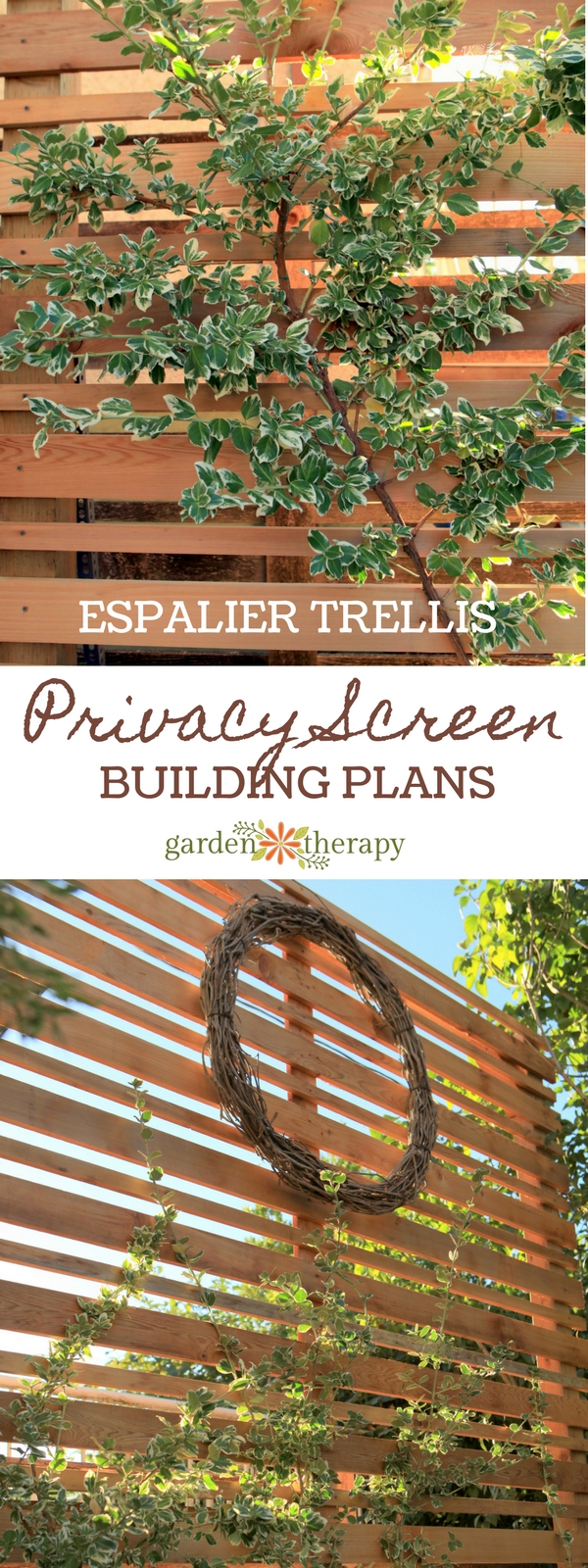 Privacy Screen Espalier Trellis