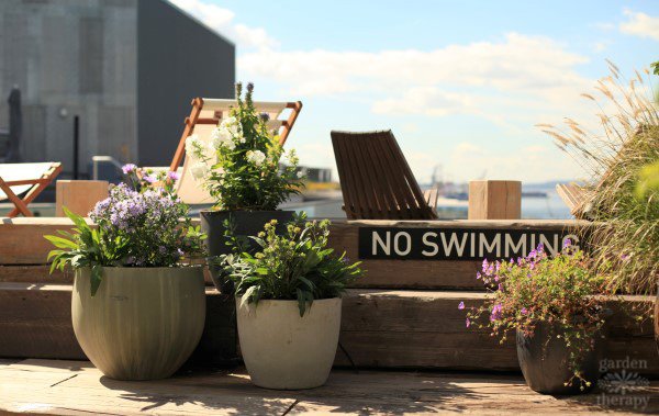 1 Hotel Brooklyn Bridge Pool Deck