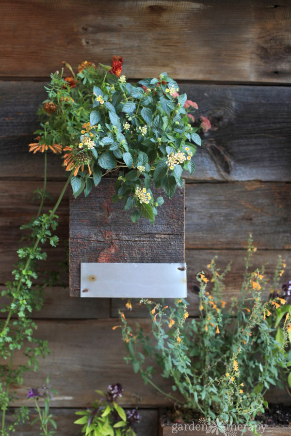 1 Hotel Brooklyn Bridge Urban Wall Garden