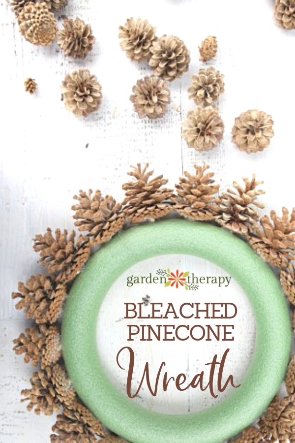 Bleached Pincone Wreath DIY. Making a bleached pinecone wreath using a foam form.