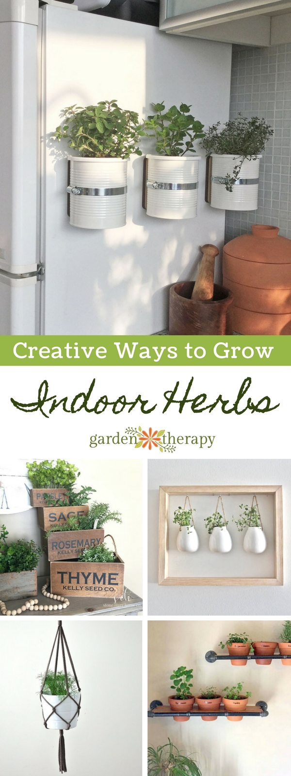 Creative Ways to Grow Indoor Herbs in Any Space