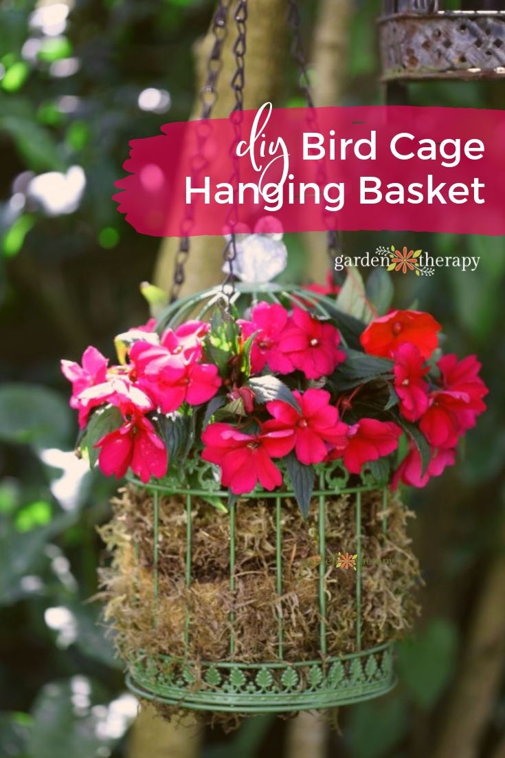 Pretty Up the Party with Birdcage Hanging Basket Planters Garden Therapy