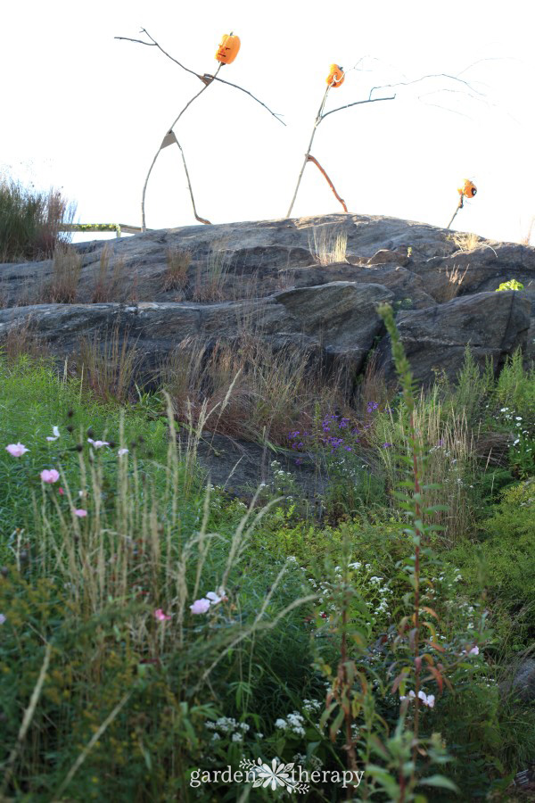 Everett Children's Adventure Garden