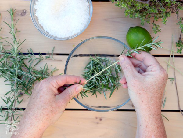 how to harvest rosemary