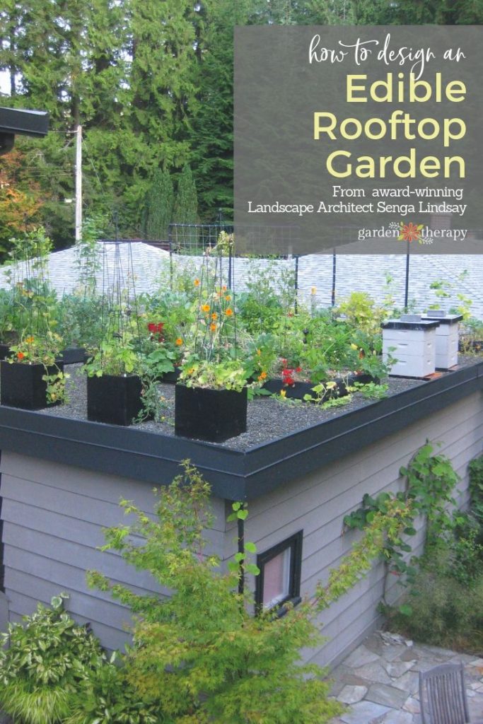 Grow up! Build an Edible Rooftop Garden - Garden Therapy