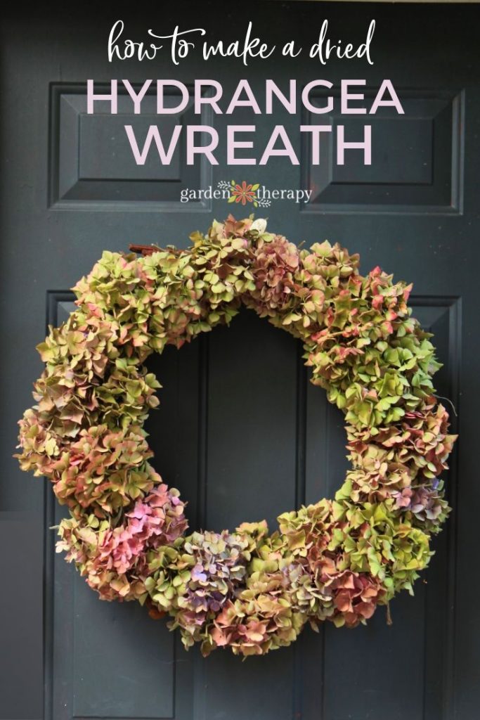 Image of Wreath made of dried hydrangeas