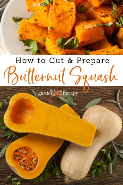 How to Cut Butternut Squash for Recipes - Garden Therapy