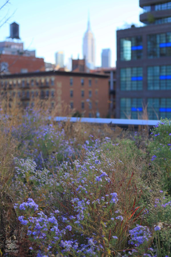 NYC High Line Garden Therapy