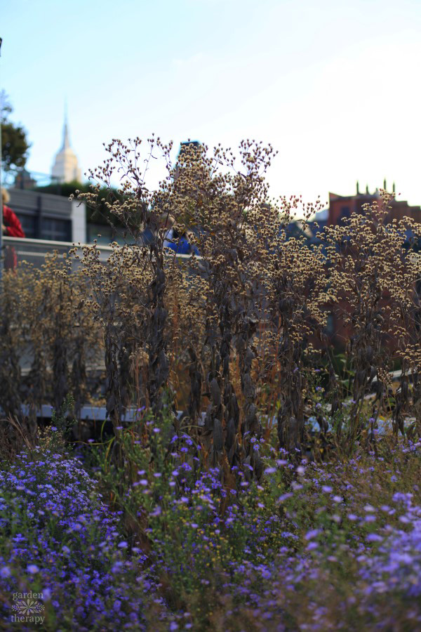 NYC High Line Garden Therapy