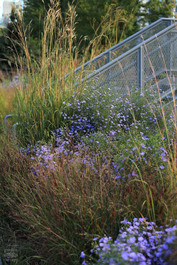 NYC High Line Garden Therapy