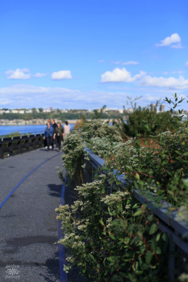 NYC High Line Garden Therapy