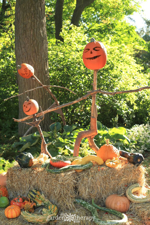 Pumpkinhead Scarecrows at NYBG