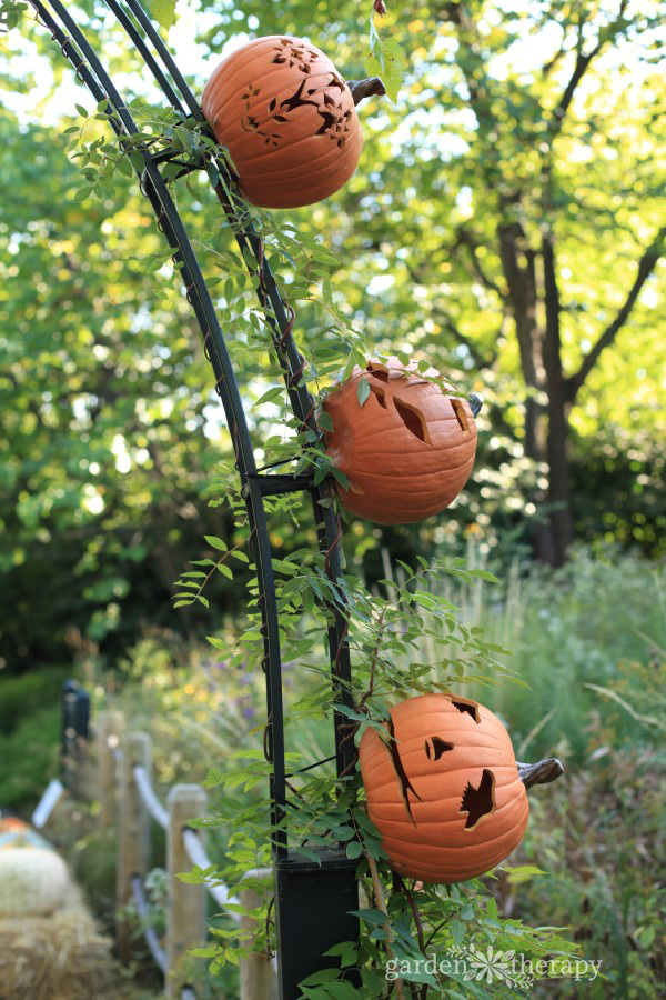 Pumpkinhead Scarecrows at the NYBG Children's Adventure Garden - Garden ...