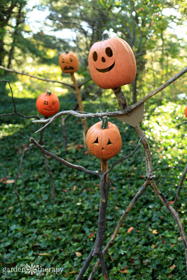 A family of pumpkinhead scarecrows at the New York Botanical Garden