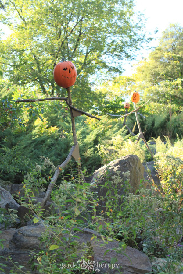 Pumpkinhead Scarecrows at NYBG