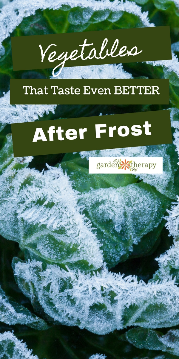 Vegetables That Get Tastier After a Frost Garden Therapy