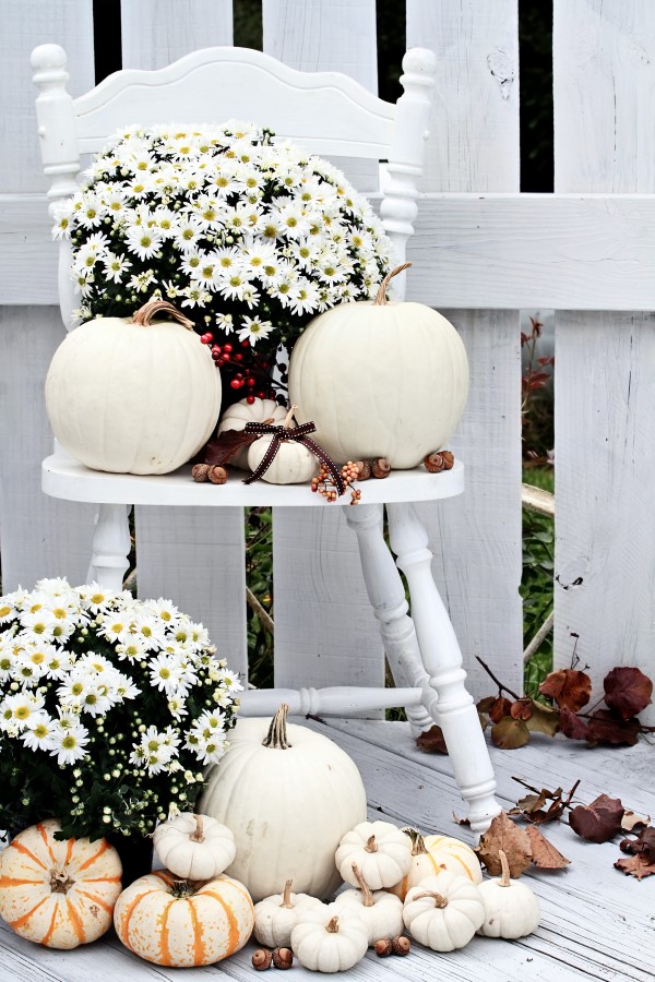 White fall decorating with pumpkins and hardy mums