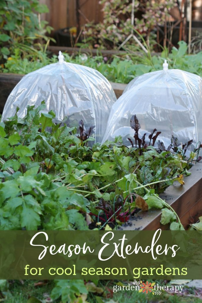 Season Extenders for Cool Season Gardens. Mini greenhouses and more for late-growing vegetables.
