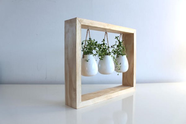 Hanging plant frame