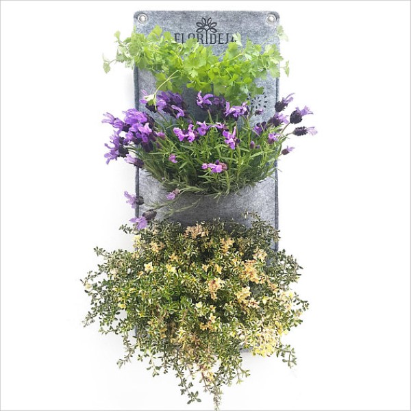 Grow herbs indoors with vertical plant pockets