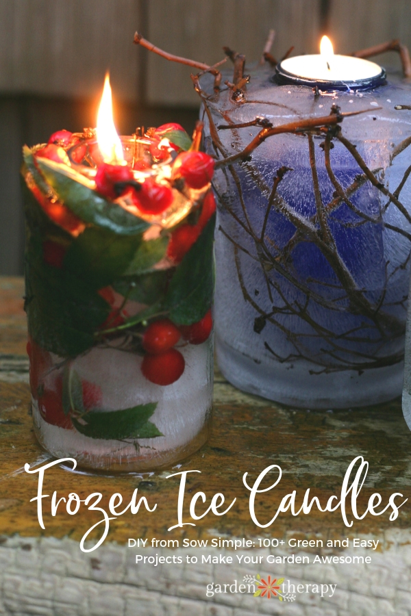 Frozen Ice Lantern: Blend Fire and Frost for a Stunning Display - Garden  Therapy