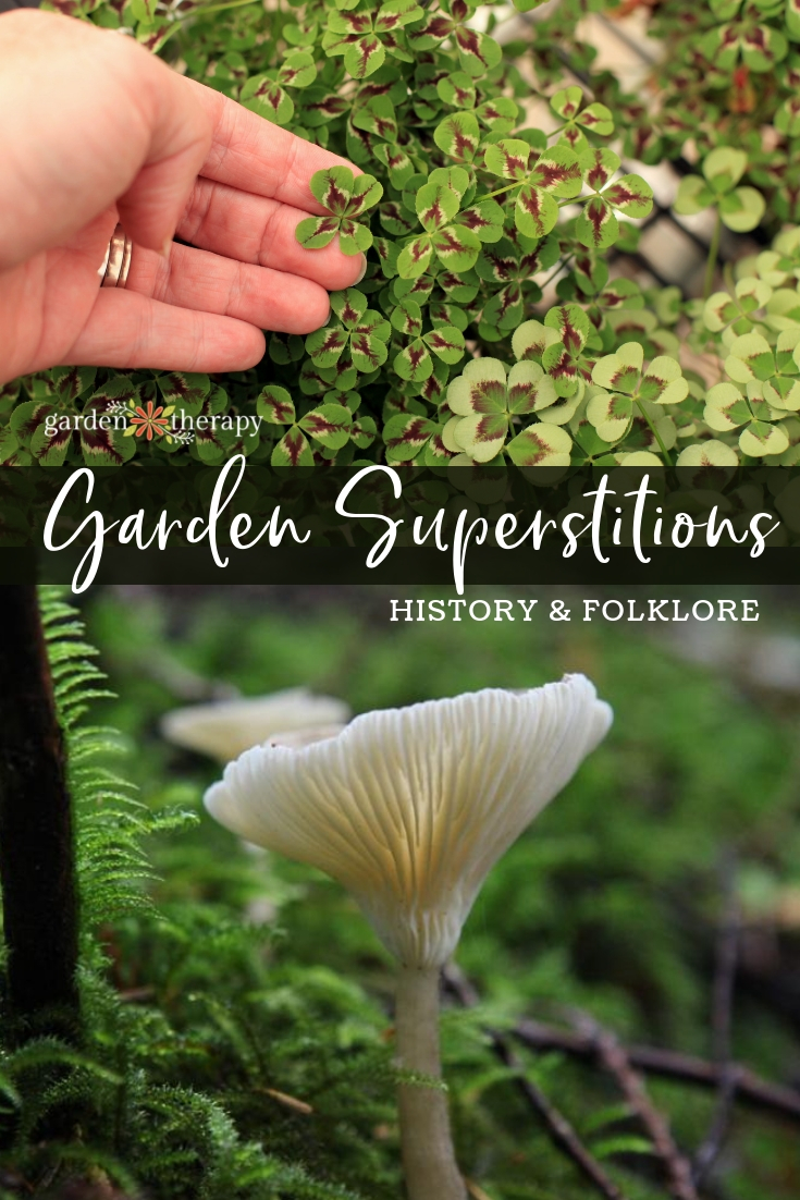 Garden Superstitions: History and Folklore