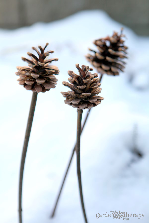 DIY pinecone planter ornaments for winter