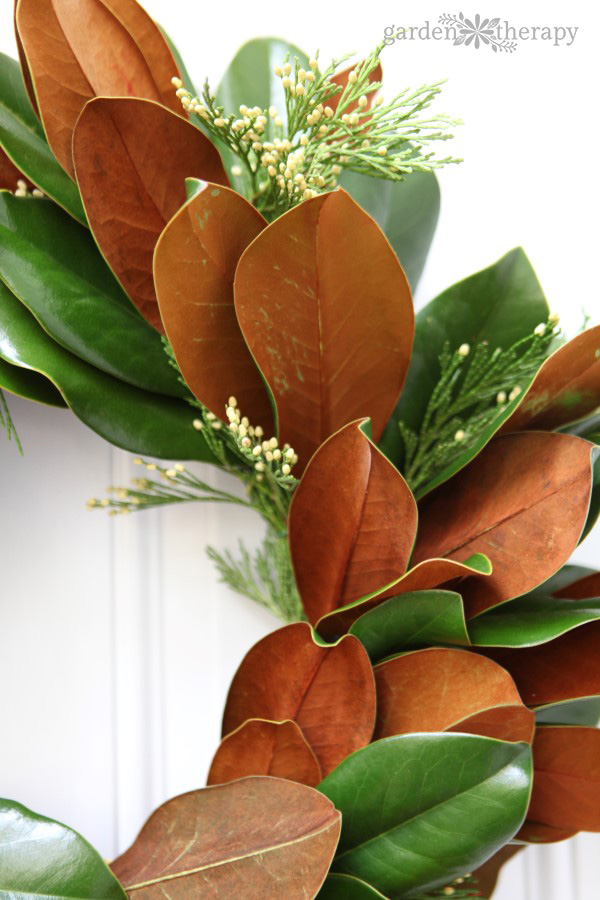 Une magnifique couronne de magnolia pour les fêtes