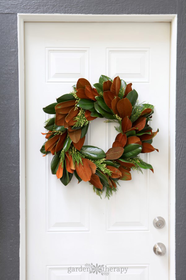 Handmade magnolia leaf wreath on a door