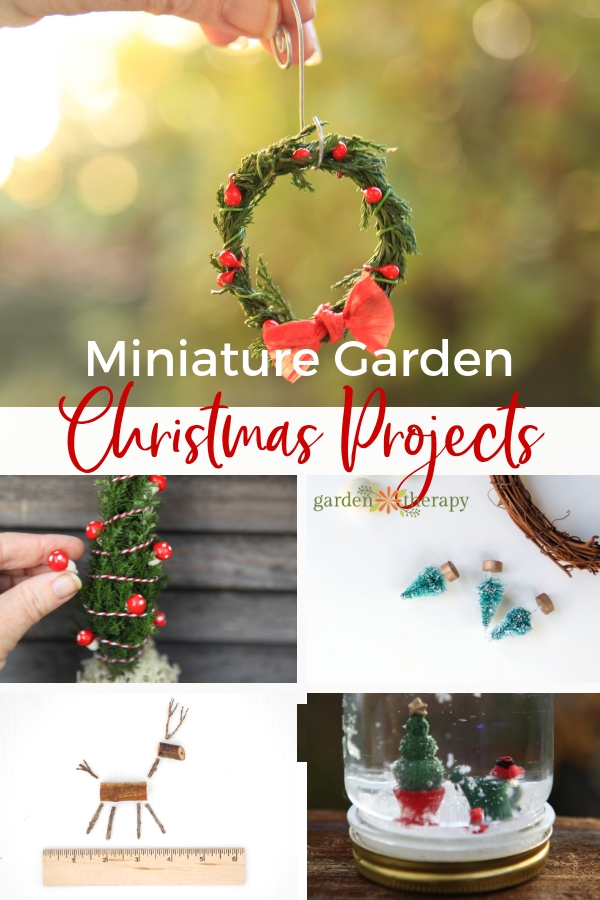 Miniature Garden Christmas Projects