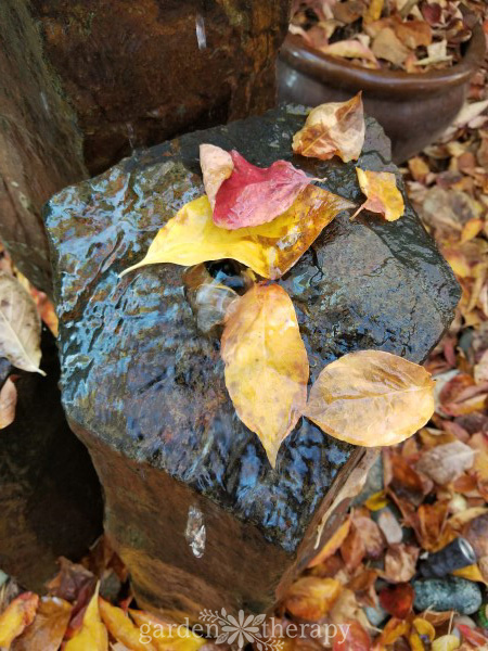 Remove fall leaves from a water feature