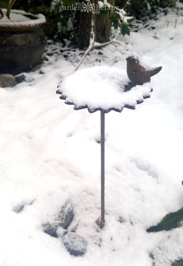 bird bath in the snow