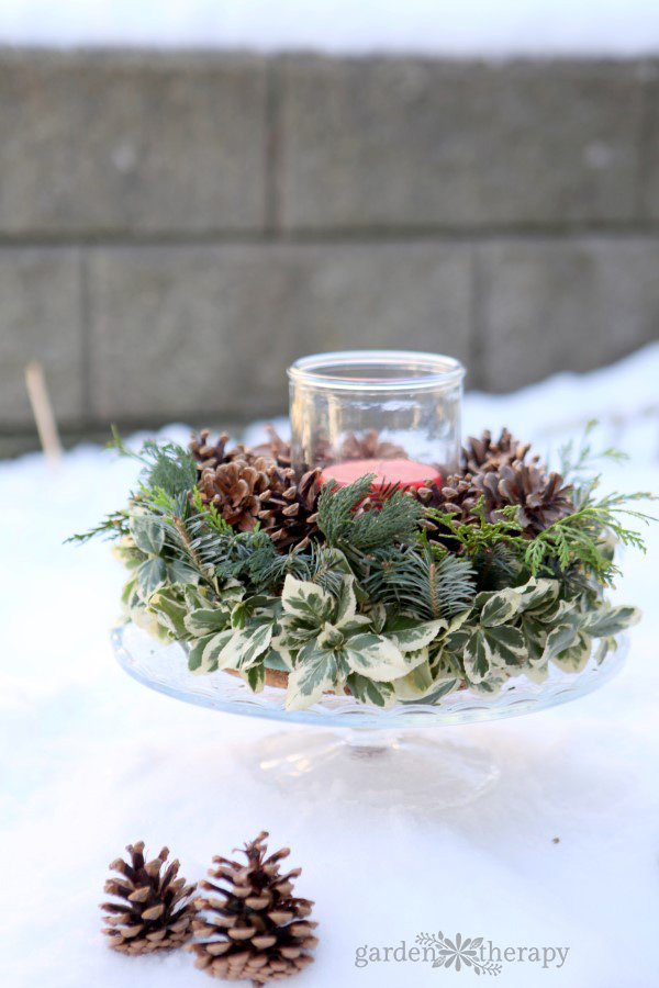 ¡Haz este centro de mesa navideño súper fácil usando elementos naturales del jardín!