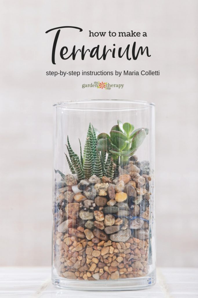 How to Make a Terrarium