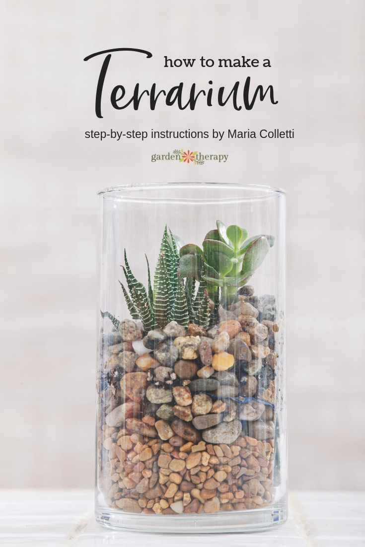 How to Make a Terrarium: A Step-By-Step Guide