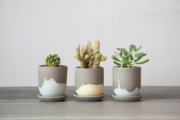 Garden-Inspired Gifts: Stoneware Pots