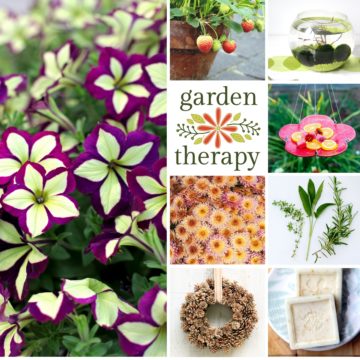 Garden Therapy 2017