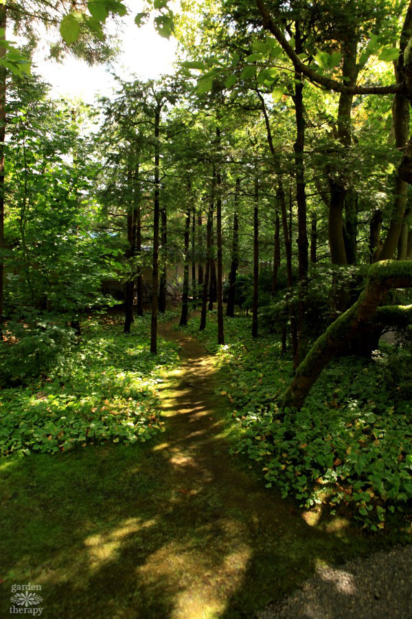 zona de permacultura forestal