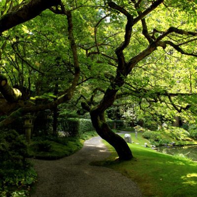 Nitobe Japanese garden at UBC