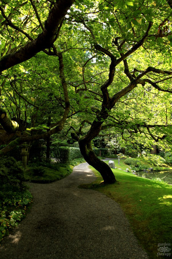 Nitobe Japanese garden at UBC