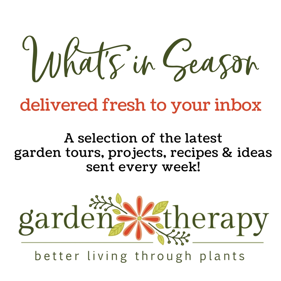 Subscribe - Garden Therapy